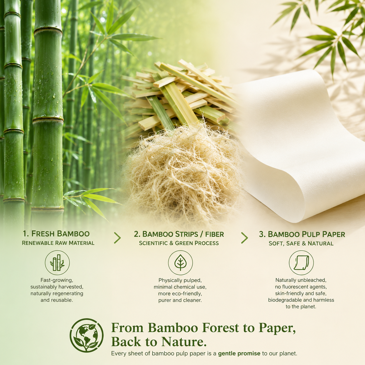 Why Is Bamboo Pulp Paper More Eco-Friendly Than Wood Pulp Paper?