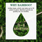 why_bamboo_trees_take_30_years_to_grow_vs_bamboo_grows_in_3_to_4_months_faster_sustainable_alternative